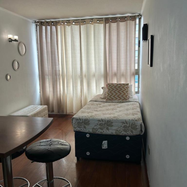 Departamento Santiago centro # 905 - One-Bedroom Apartment - 10