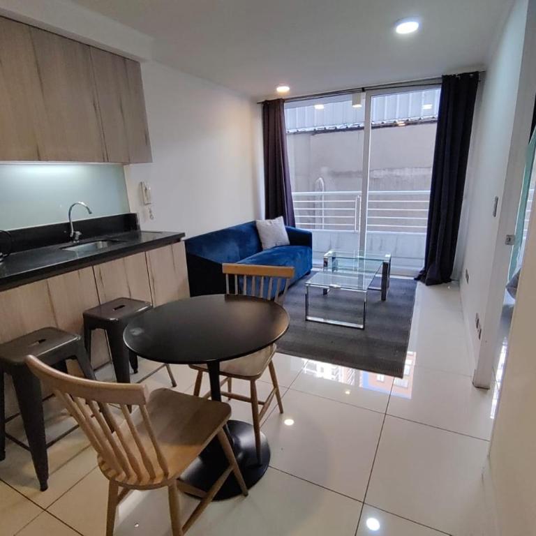 Santiago central - One-Bedroom Apartment - 4