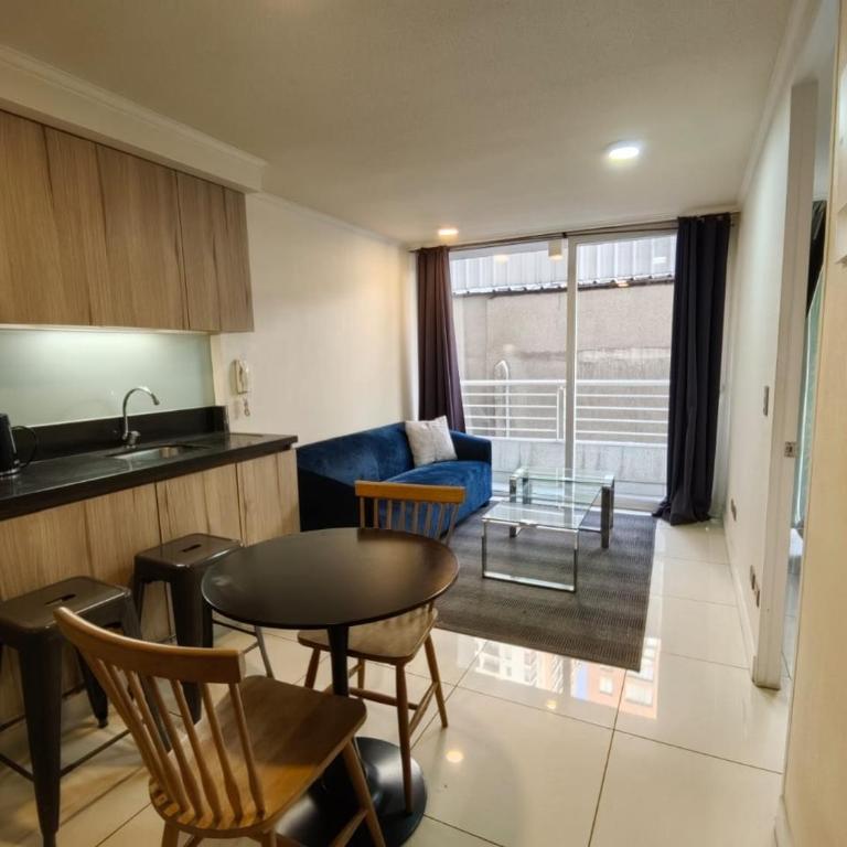 Santiago central - One-Bedroom Apartment - 6