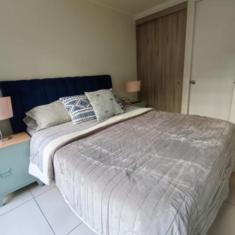 Santiago central - One-Bedroom Apartment - 8