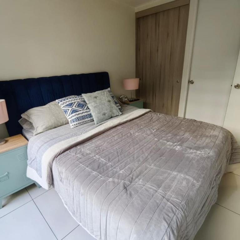 Santiago central - One-Bedroom Apartment - 14