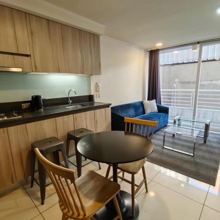 Santiago central - One-Bedroom Apartment - 17