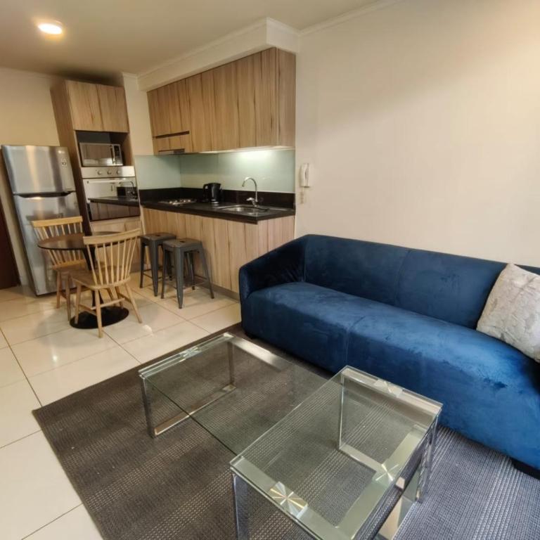 Santiago central - One-Bedroom Apartment - 19