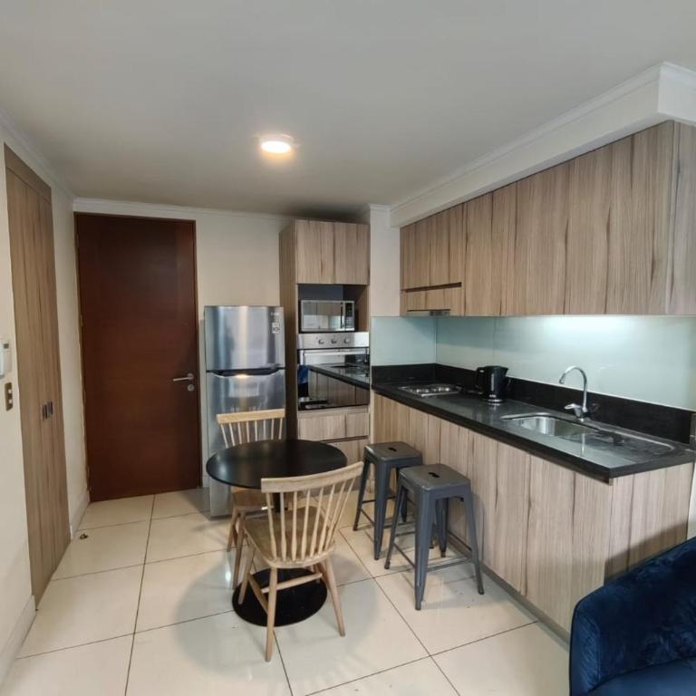 Santiago central - One-Bedroom Apartment - 20