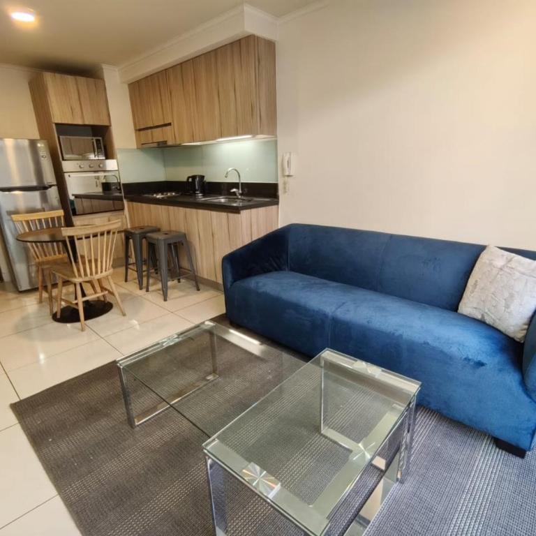 Santiago central - One-Bedroom Apartment - 24