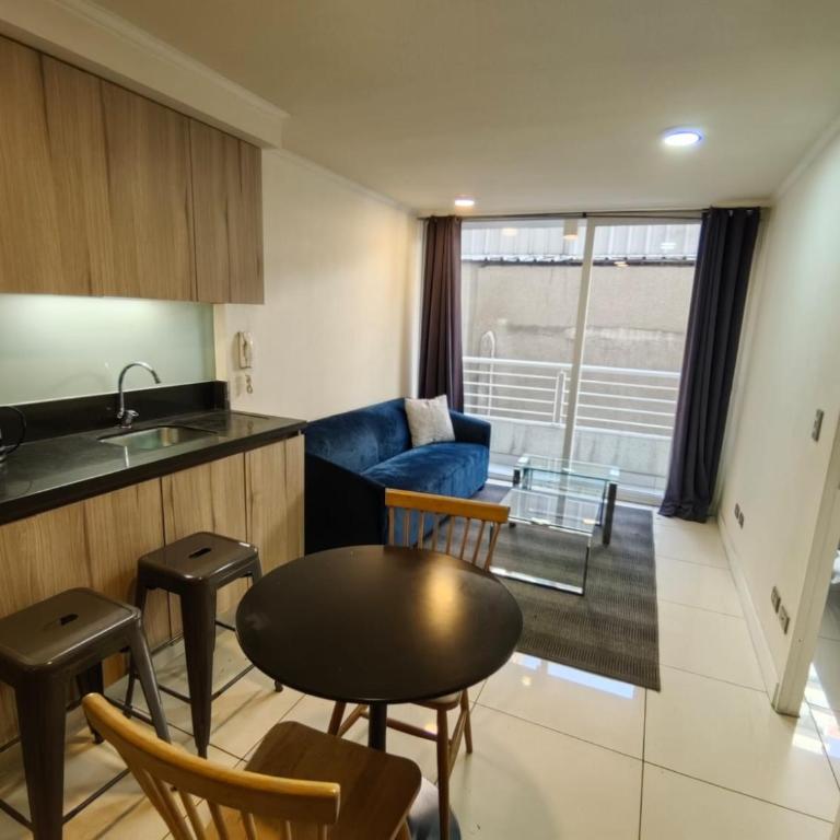 Santiago central - One-Bedroom Apartment - 25