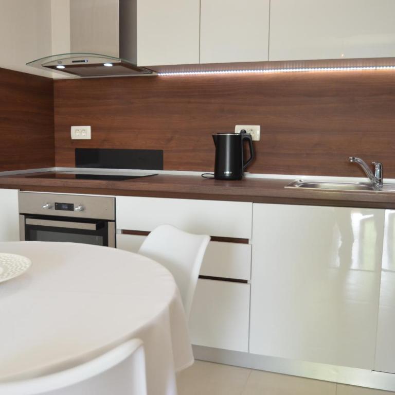 Discovery Point Apartments - One-Bedroom Apartment with Terrace - 8
