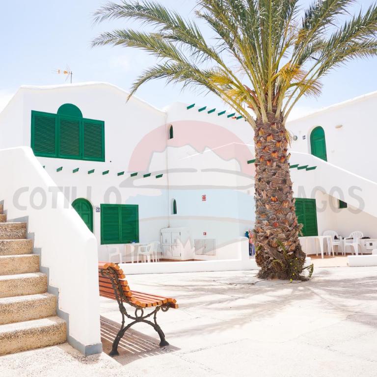 Cotillo Lagos - Estudio - 17
