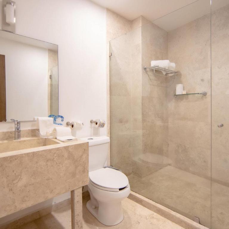 Comfort Inn Queretaro Tecnologico - Efficiency King Room - Accessible/Non-Smoking - 2