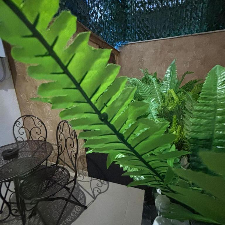 Corona Suite & Rooms - Double Room with Patio - 25