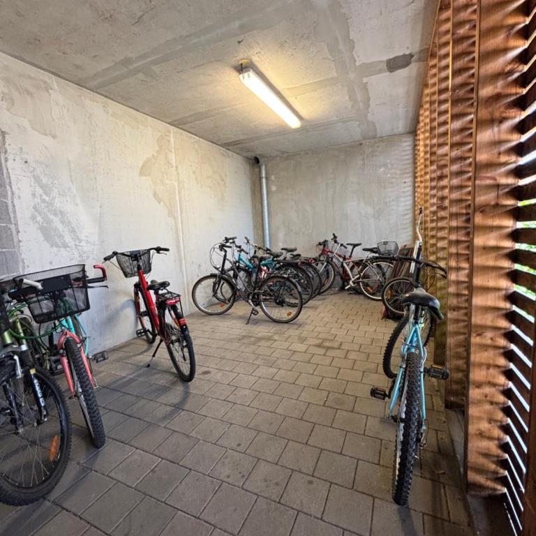 Robertsau, jardin en ville - One-Bedroom Apartment - 27