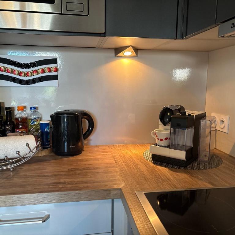 Robertsau, jardin en ville - One-Bedroom Apartment - 17