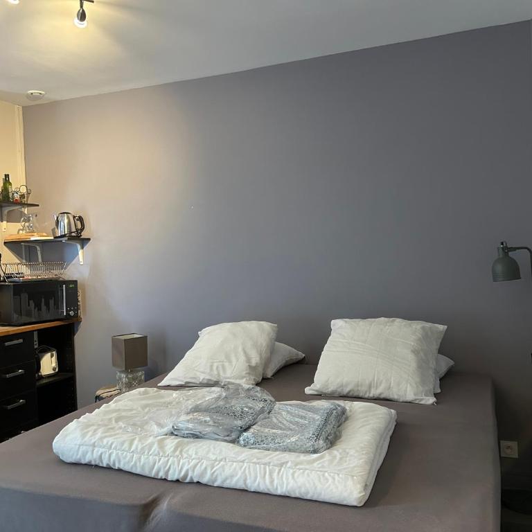 Home St. Germain - Studio (sans ascenseur) - 8