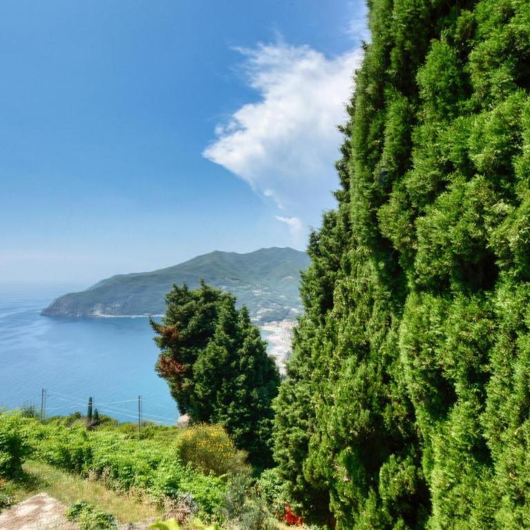 Pet Friendly Apartment In Moneglia With Wifi - Appartamento con 1 Camera da Letto - 5