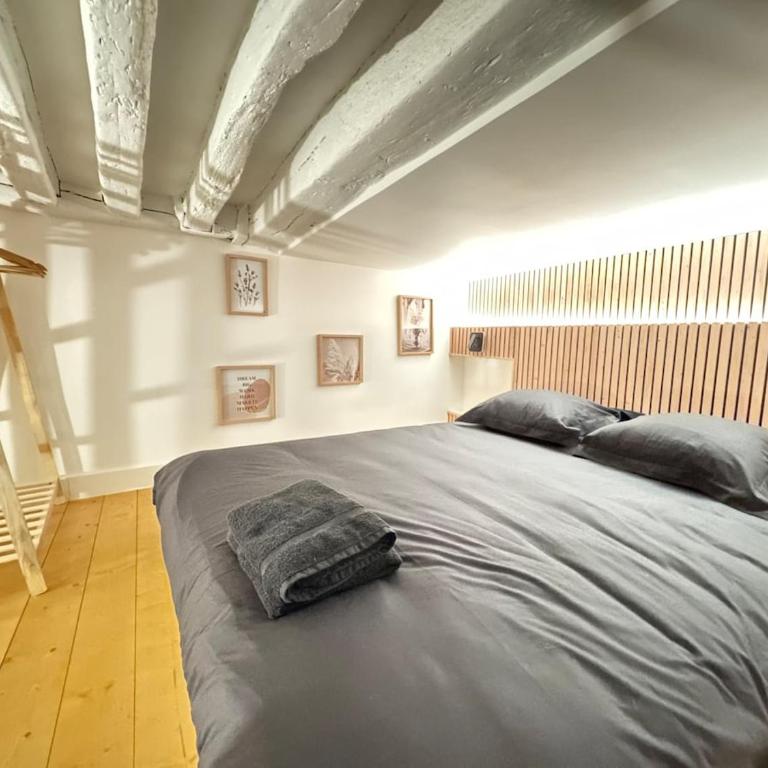 Impressionnists in Le Marais - Sauna & AC - Appartement 2 Chambres - 27