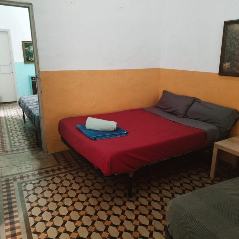 Piso Amplio Carreteria - Apartamento - 16
