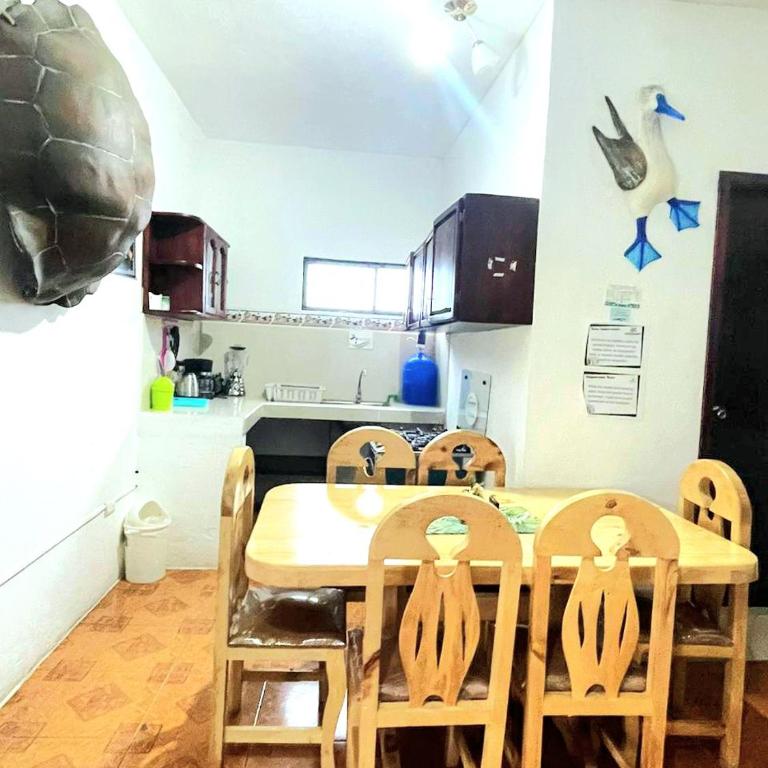 Suite Galarous Island - Apartamento de 1 dormitorio - 51