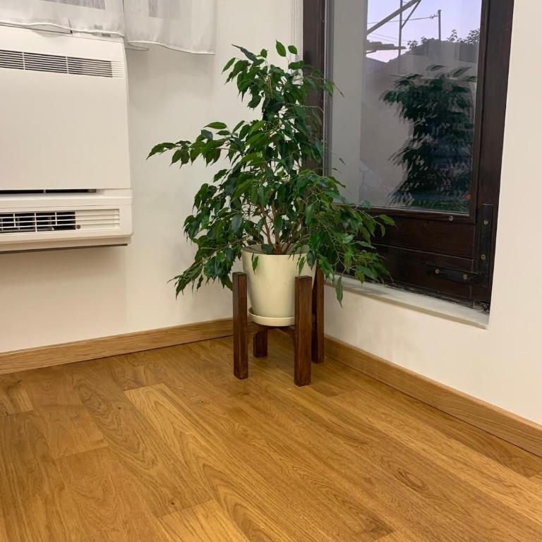 Apartment Jovic - One-Bedroom Apartment - 3