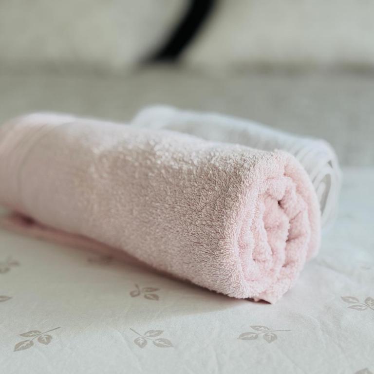 Belgrade City Center - Apartman sa 2 Spavaće Sobe - 7