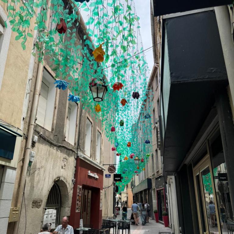 La paisible, coeur de ville Narbonne - Casa de 4 dormitorios - 47