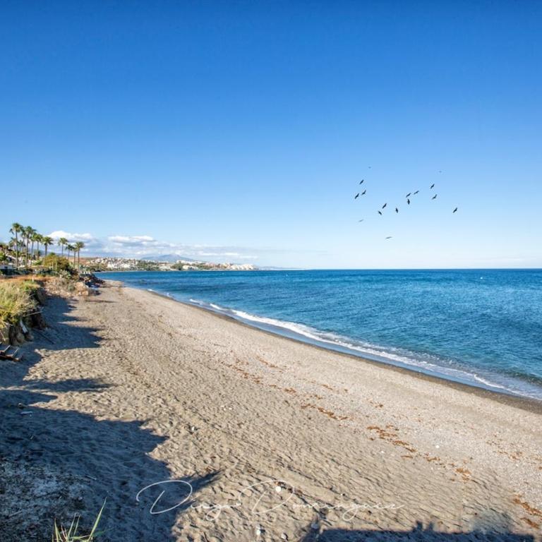 Front line beach apartment in The Edge with sea views - Apartamento de 2 dormitorios - 14
