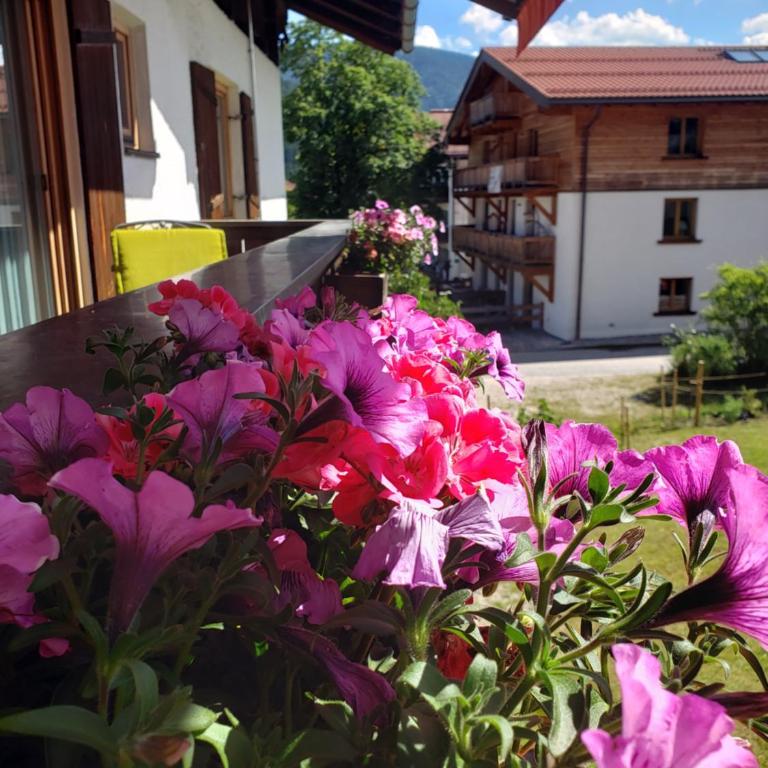 Haus Zauner - Doppelzimmer mit Balkon - 2