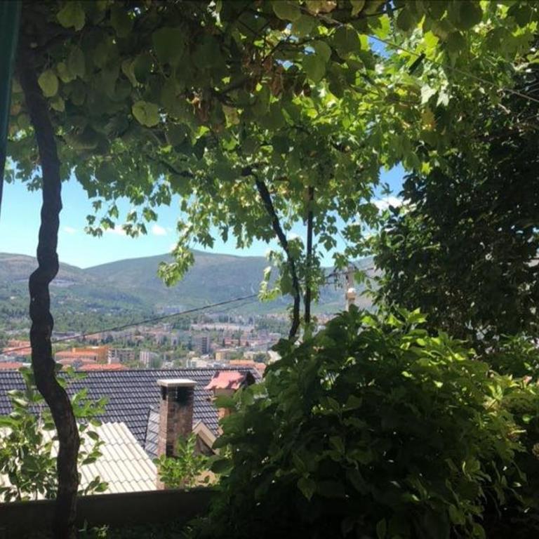 Guesthouse RED STAR - Apartment with Garden View - 4