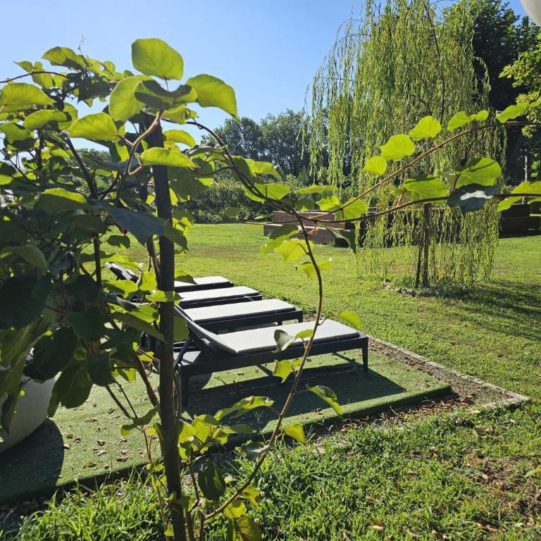 Il PARADISO Di LUNA - Villa con 1 Camera da Letto - 10