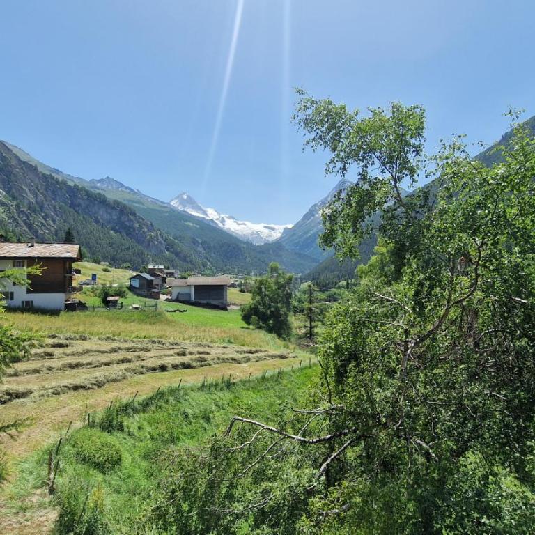 Le Bouquetin - Chalet familial- 8 personnes - Chalet - 25
