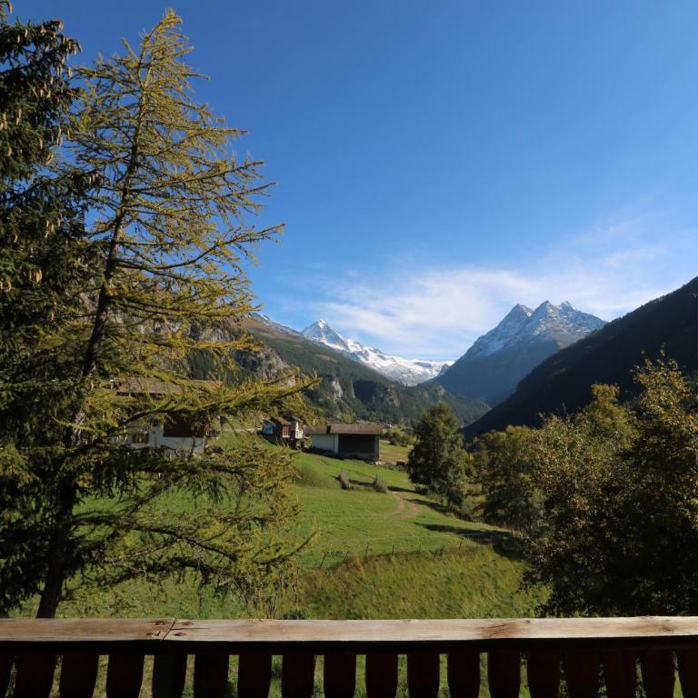 Le Bouquetin - Chalet familial- 8 personnes - Chalet - 26