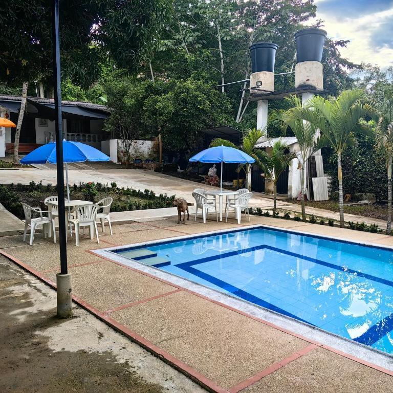 Villa Stefy - Casa de 4 dormitorios - 2