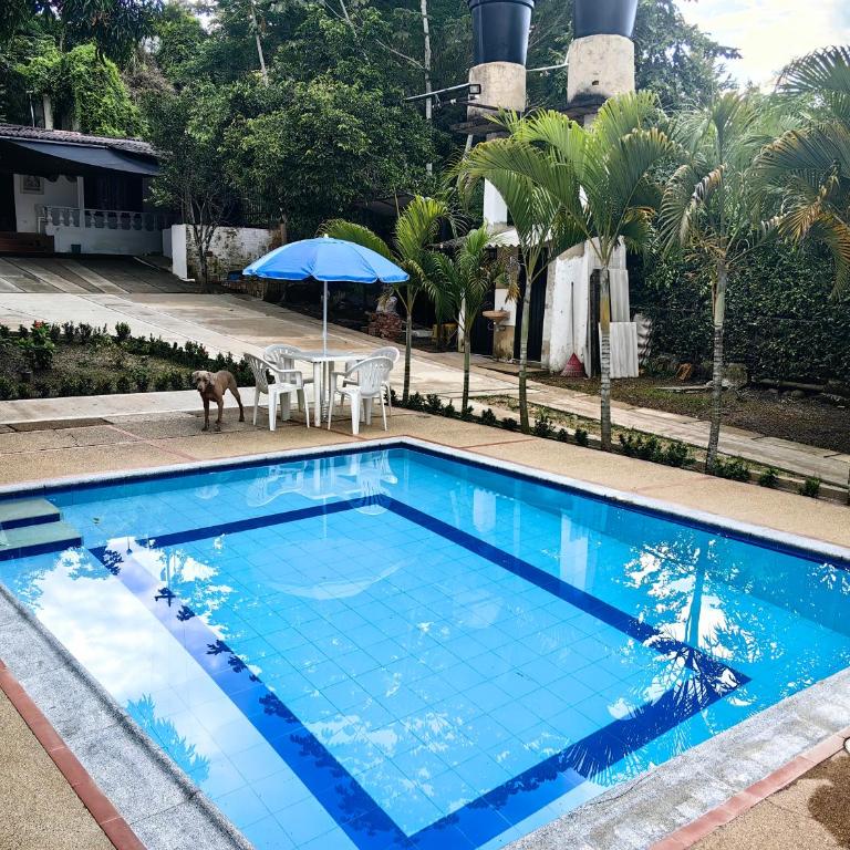 Villa Stefy - Casa de 4 dormitorios - 24