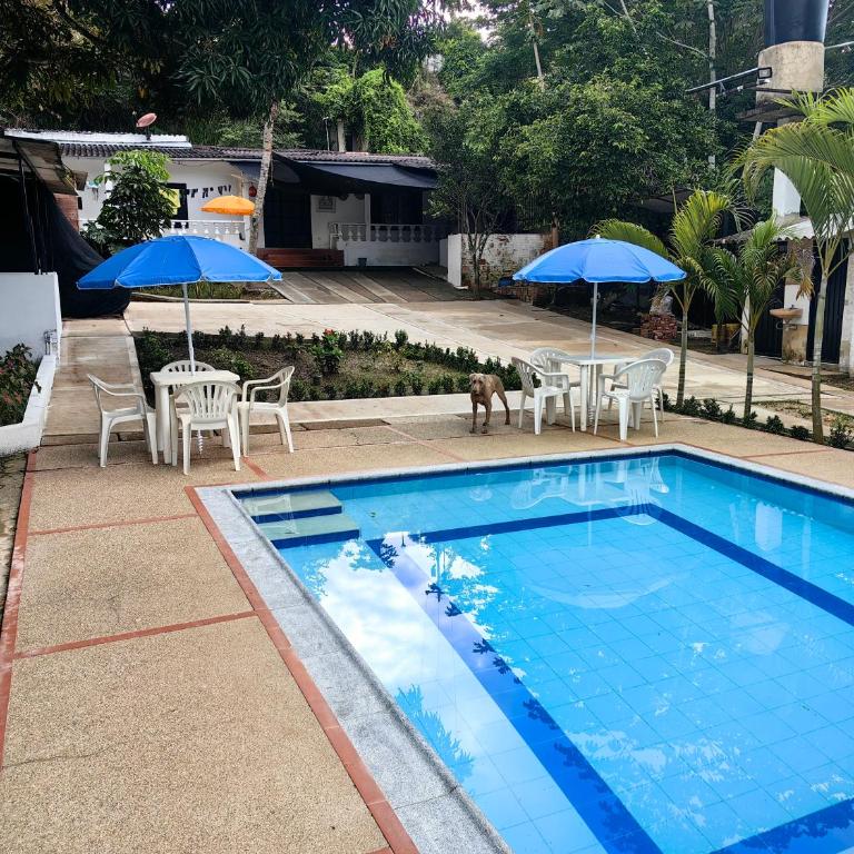 Villa Stefy - Casa de 4 dormitorios - 35