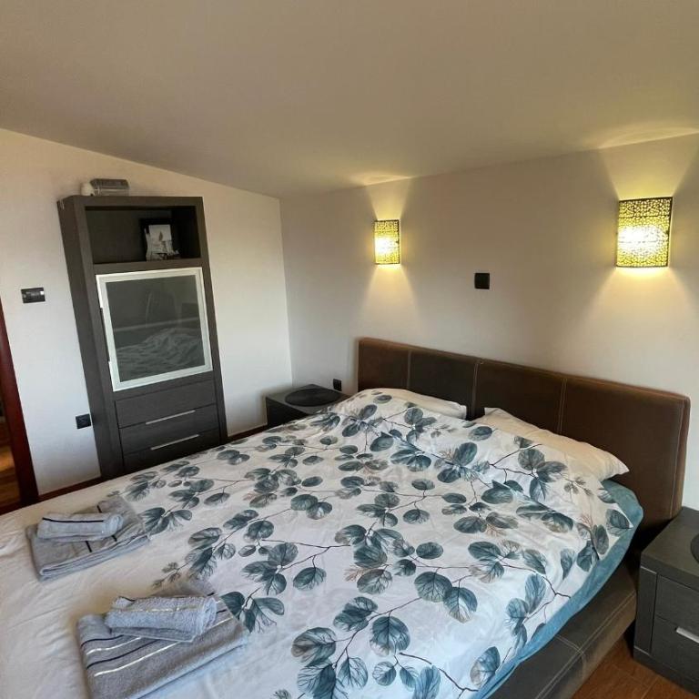 Stefan apartment - Two-Bedroom Apartment - 15