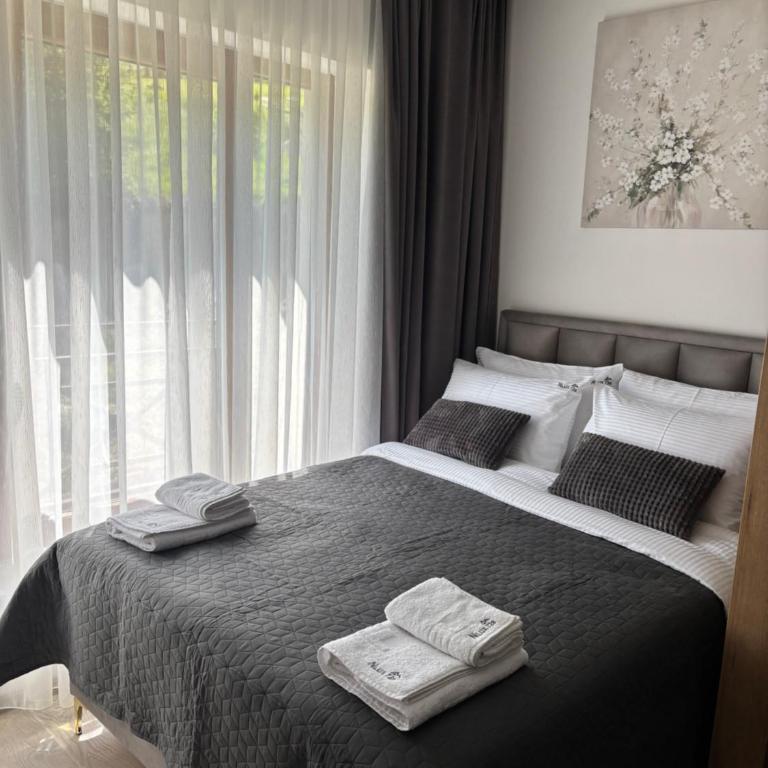 Milmari Resort & Spa Kopaonik NLux 72a - Deluxe Studio - 20