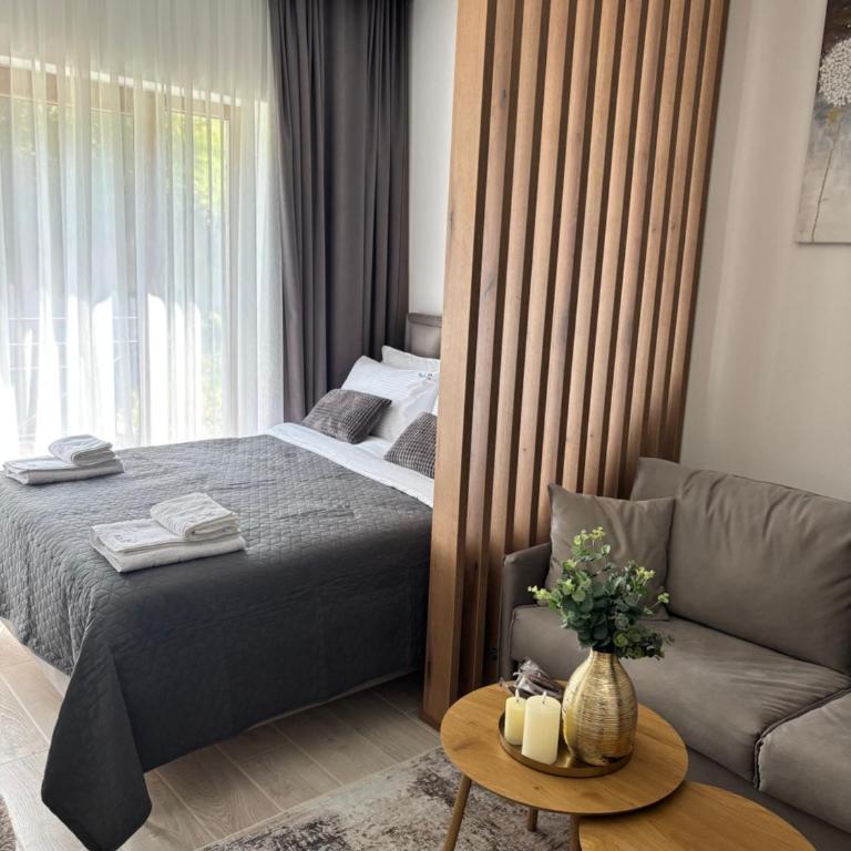 Milmari Resort & Spa Kopaonik NLux 72a - Deluxe Studio - 19