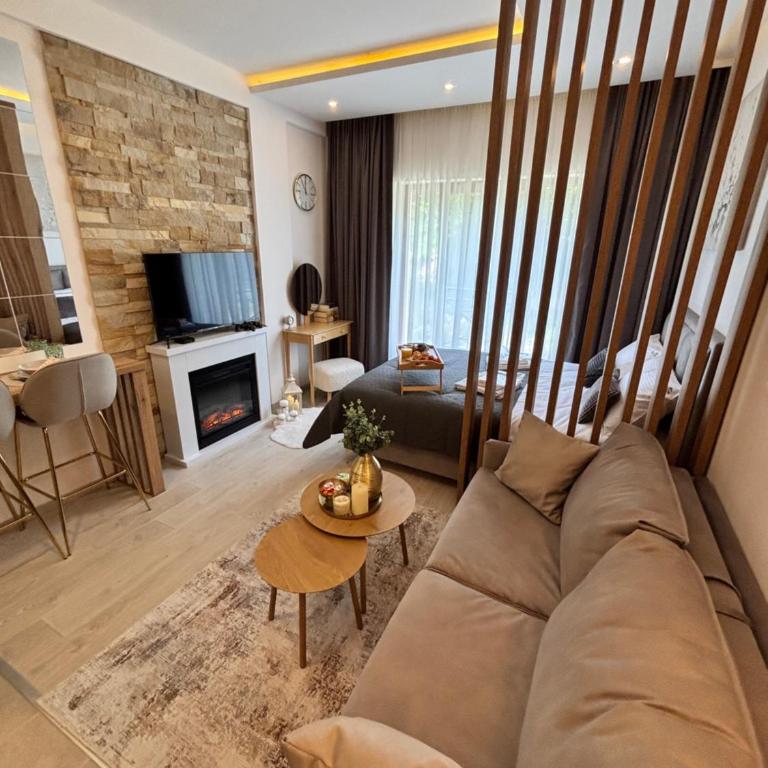 Milmari Resort & Spa Kopaonik NLux 72a - Deluxe Studio - 22