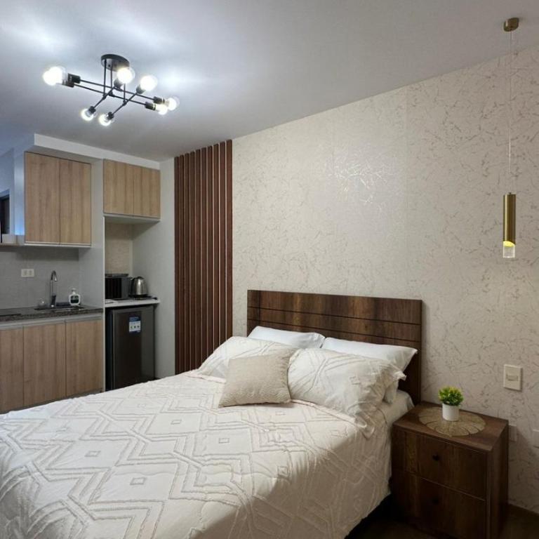 Elegant studio apartment A2 - One-Bedroom Apartment - 5
