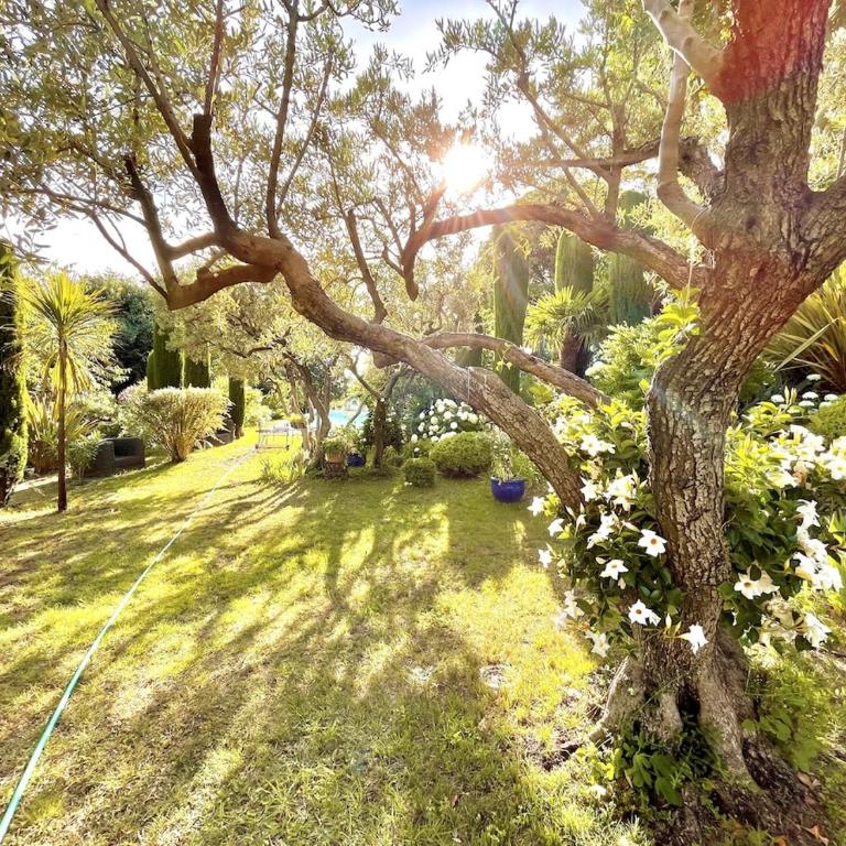 Villa de charme avec Piscine & Vue panoramique en plein Centre-ville d'Aix-en-Provence - Villa 3 Chambres - 25