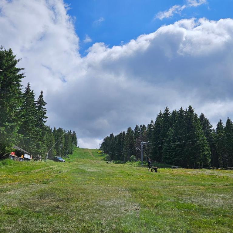 Woodside apartments Kopaonik with garage - Duplex Apartment - 2
