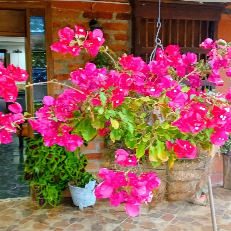 Bioziell ecohotel - Casa de 6 dormitorios - 13