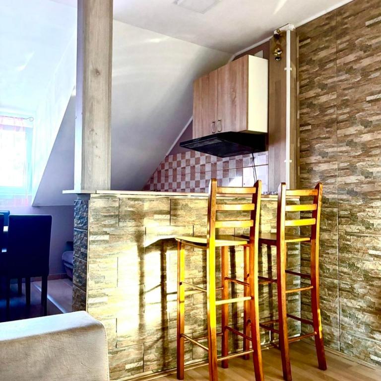 Apartmani Radovanovic - Apartman sa 1 Spavaćom Sobom - 5