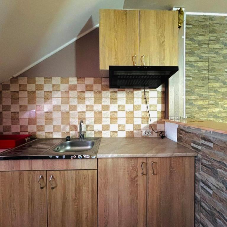Apartmani Radovanovic - Apartman sa 1 Spavaćom Sobom - 3