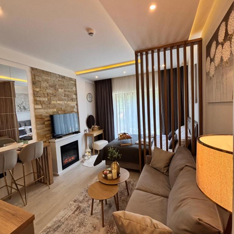 Milmari Resort & Spa Kopaonik NLux 72a - Deluxe Studio - 13