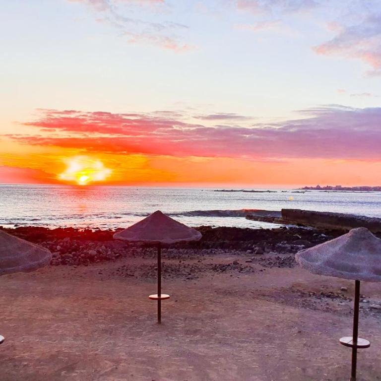 Ocean View with Sunset in Palm Mar- Pool- Wifi - Parking - Apartamento de 1 dormitorio - 21