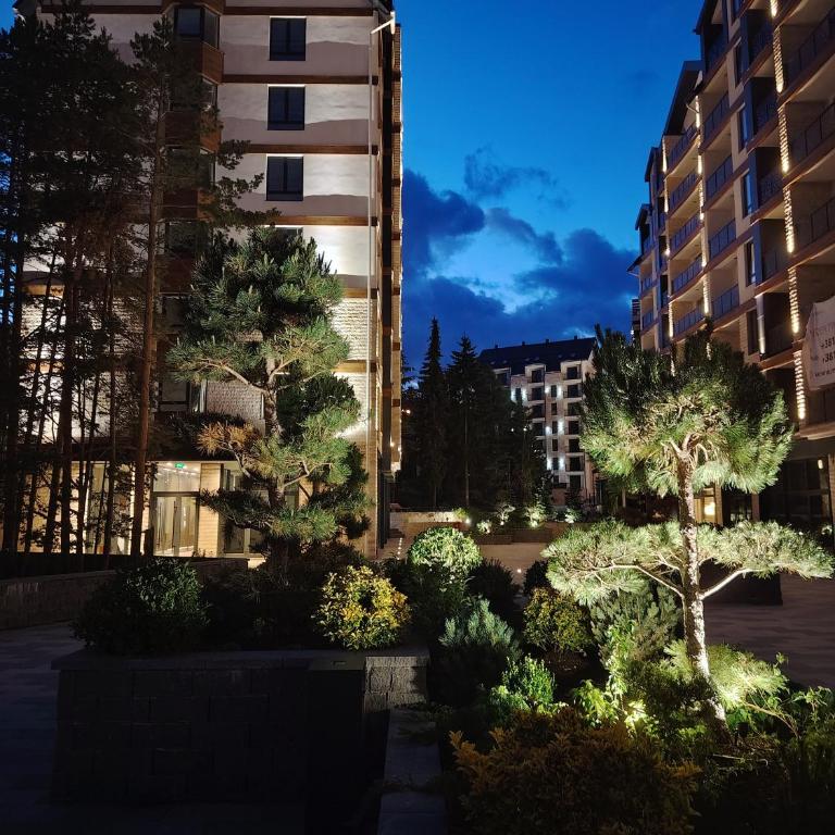 New Apartment Moderna SPA&FUN Zlatibor Centar - Apartment - 58