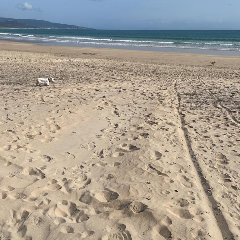 Piso acogedor en Barbate - Apartamento de 3 dormitorios - 2