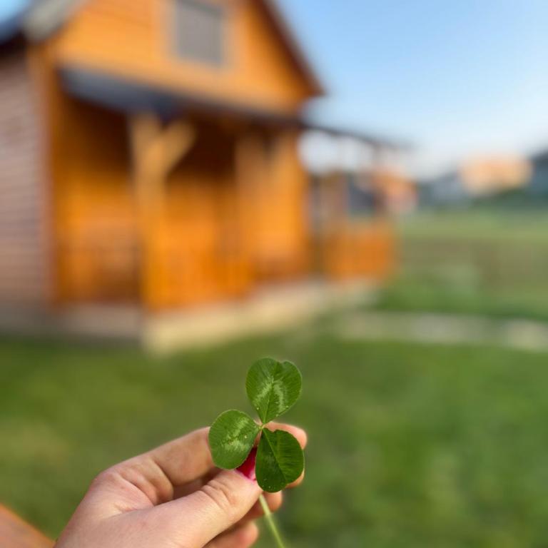 Omega Žabljak - Two-Bedroom Villa - 11