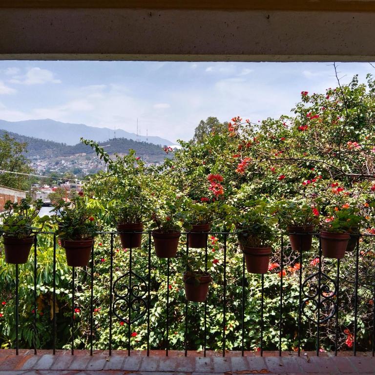 Oaxaca Deleite - Casa de 4 dormitorios - 75