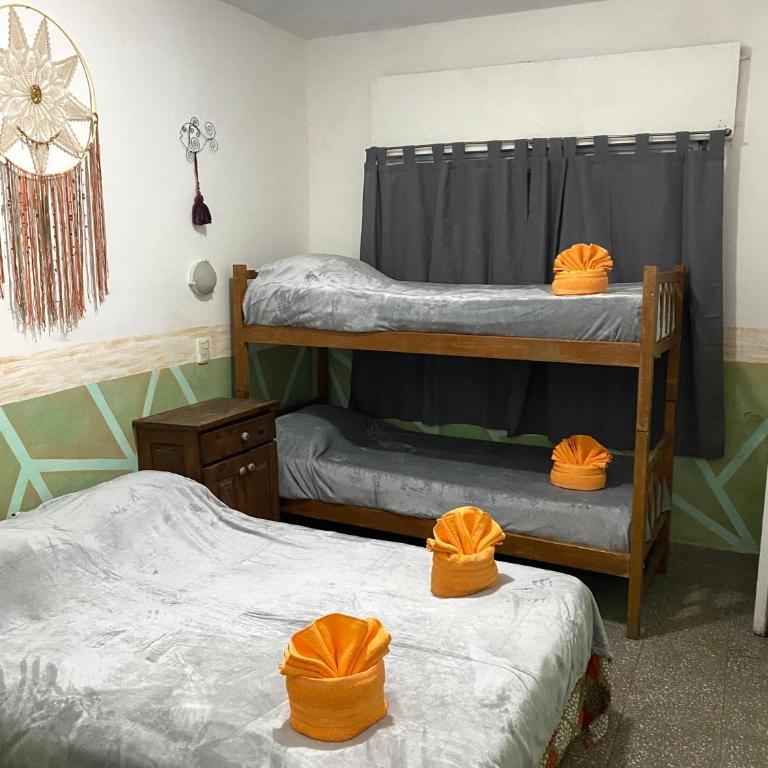 Antu Kuyen Hostel - 4-Bed Mixed Dormitory Room - 1